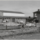 Nieuwe ruilverkavelingsboerderij bij Tiel © Fotocollectie Regionaal Archief Rivierenland (0670-M7335)
