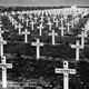 De Canadese Erebegraafplaats in 1947, kort na de opening. De ijzeren kruizen zijn na 1956 vervangen door grafstenen. © Collectie G.G. Driessen, CC-BY-NC