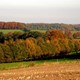 De heuvels van Groesbeek zijn gevormd in de ijstijd © Schoenselaars, CC BY