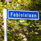 Fabiolalaan te Nunspeet © CODA, Christa Balk