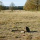 Restanten van de Winkelmankazerne in Nunspeet © Frank Oosterboer