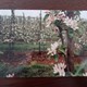 Fruitteelt ca. 1992 (1) © Dhr. Van de Borgh