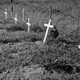 Noodgraven Engelse soldaten Ressen 1944 © Historische Kring Bemmel cc-by-nc
