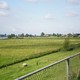 Well (rechts) vanaf de dijk bij Ammerzoden