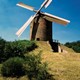 De torenmolen van Zeddam © Huis Bergh, CC-BY4.0